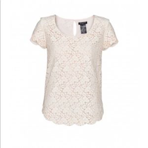 Aritzia (Talula) lace top